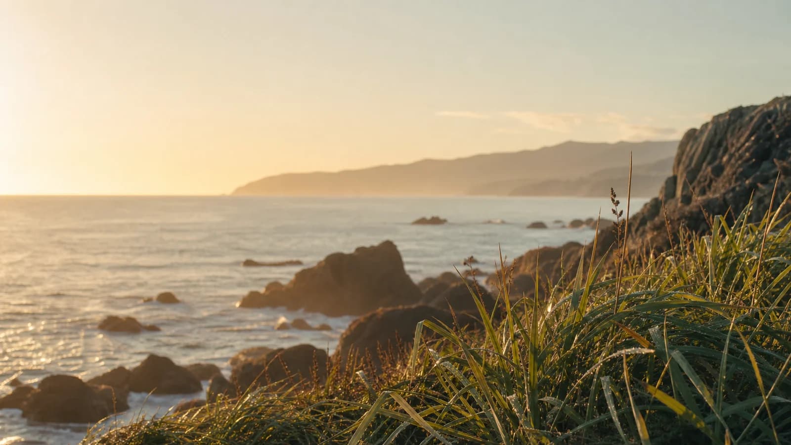 Barrier Repair Serum NZ: What It Is and How to Use It