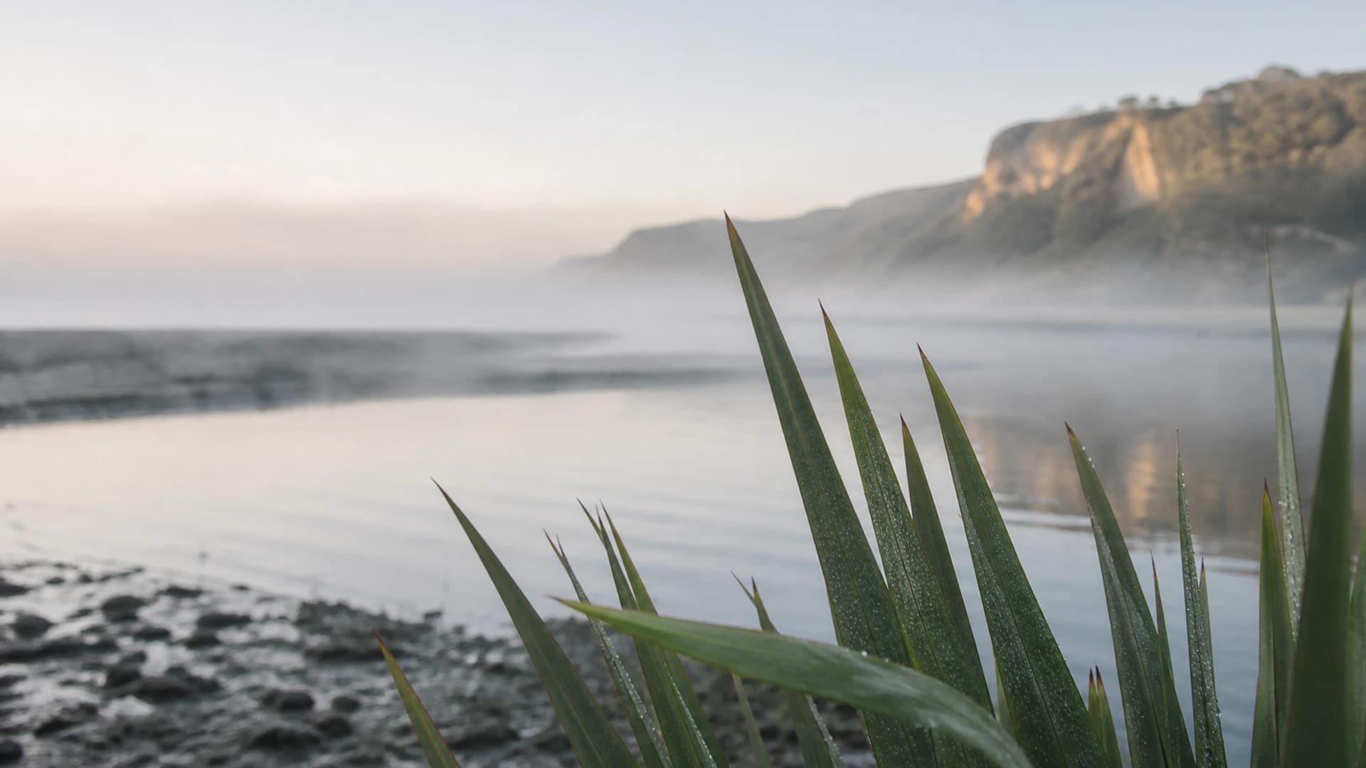 How often should I exfoliate my face? A gentle NZ guide